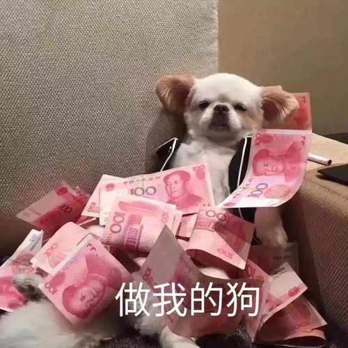  抖音最火表情包i这是不是你看手机的样子