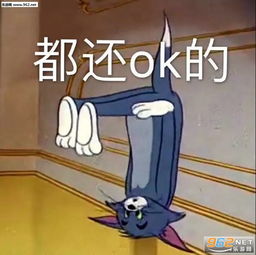 晕的表情包静态错别字