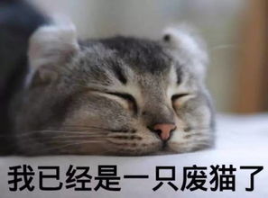  五四青年节,向深圳青年致敬