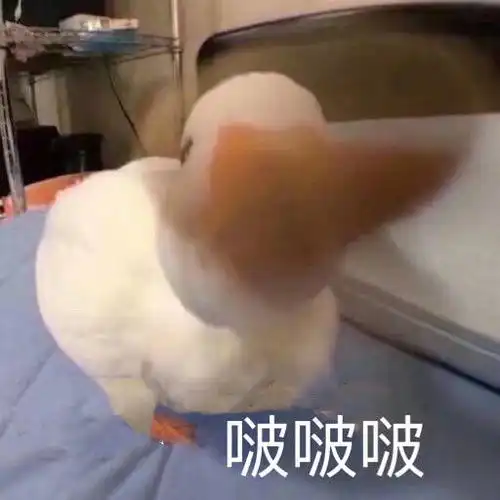  多谢大家
