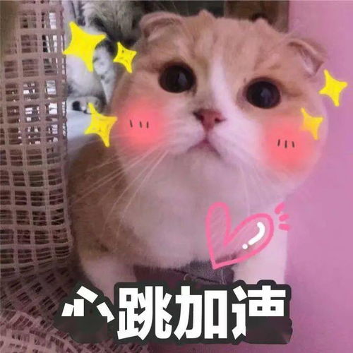  盛典倒计时1天丨摩登兄弟刘宇宁你来听歌十周年主题曲天判燃情上线