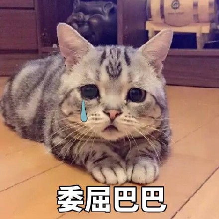  委屈巴巴猫表情包