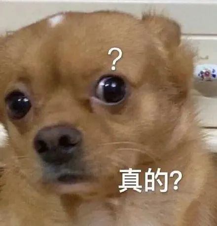  非深户能不能在深圳领失业金