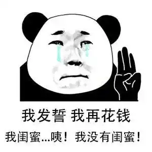  表情包我发誓