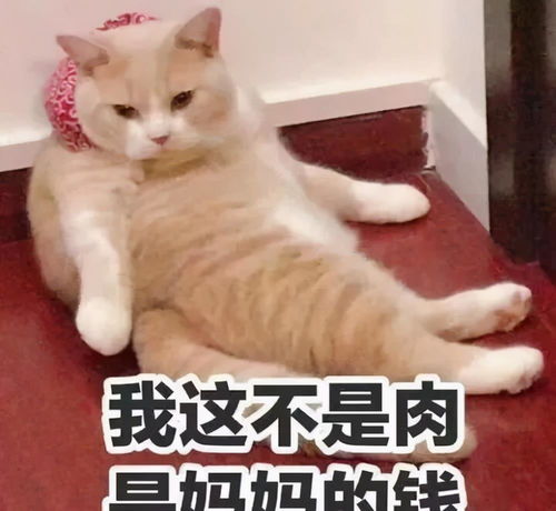  衣带渐紧终不悔,每逢佳节胖三斤
