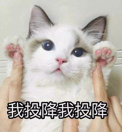  老娘100多入手的毛衣在闲鱼上卖4块钱她们还让我顺丰包邮