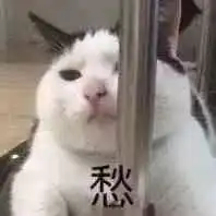  表情包生活终于对我这只小猫咪动手了