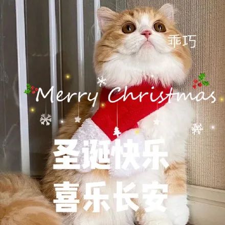  表情包圣诞节圣诞节快乐