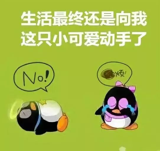 13年,它们模样没变,而我们却长大了