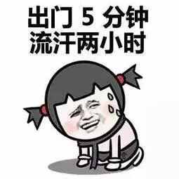  头伏吃什么馅的饺子好头伏适合吃什么馅儿的饺子