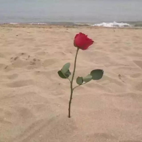  朋友圈封面素材