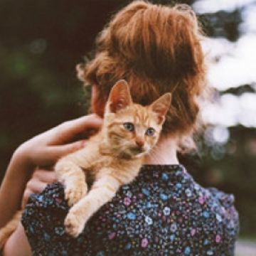  抱猫这件事虽小,但是直接影响着你和你家猫咪之间的亲密程度