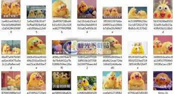 宠物表情包gif鹦鹉兄弟