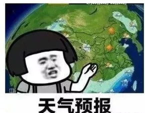  一周天气早知道鲅鱼圈还是那熟悉的徐徐小北风,还有阵雨来袭
