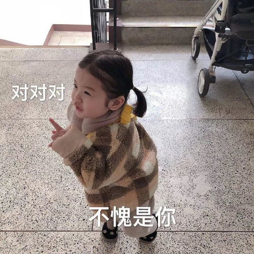  可爱沙雕表情包你们聊这个我可睡不着,狗子你快起来啊