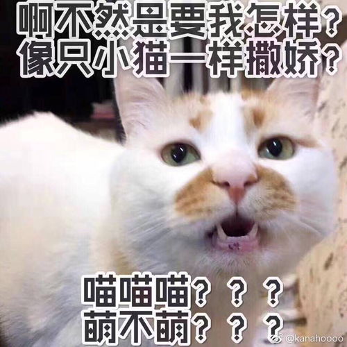  广州的小哥哥小姐姐请问下天气