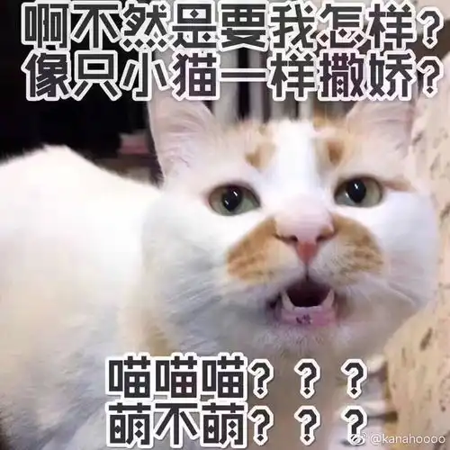  广州的小哥哥小姐姐请问下天气