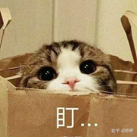  大学生整容普遍吗