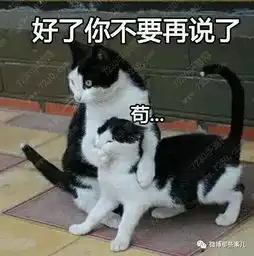  读过的古文中,你觉得哪一段最有韵味回眸一笑百媚生,六宫粉黛无颜色