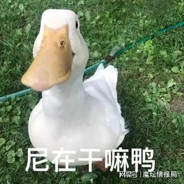 不听话打屁屁表情包听话