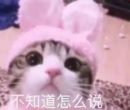 摸头表情包猫拉屎
