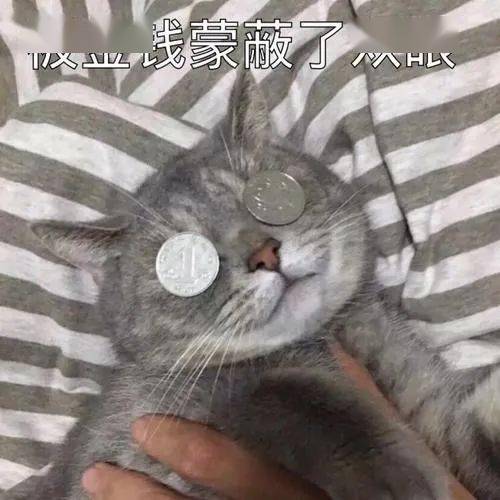  中国驻韩国大使馆提醒在外留学生谨防高额报酬的兼职诈骗内有视频