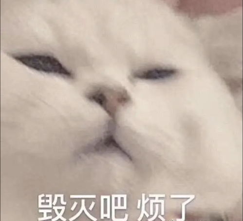 我想睡你很久了表情包感