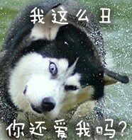  二哈表情包