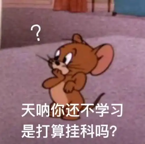 那我不要了表情包老鼠