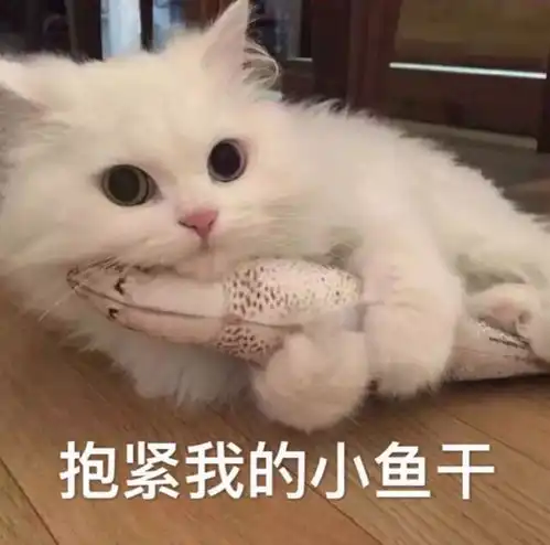打滚表情包猫猫清水文