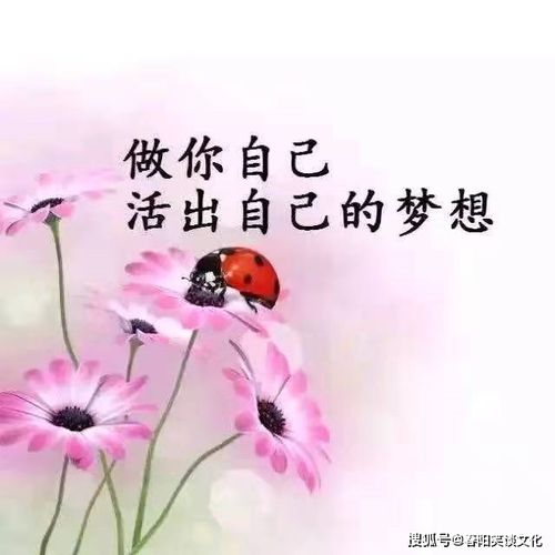  触动心灵的句子说说,句句精华,不分享太可惜了
