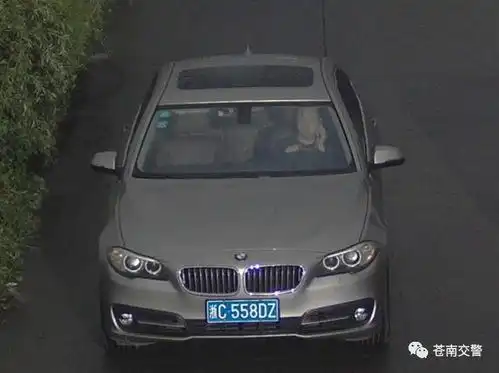  苍南交警高清监控拍下违法司机车牌和脸部表情清清楚楚