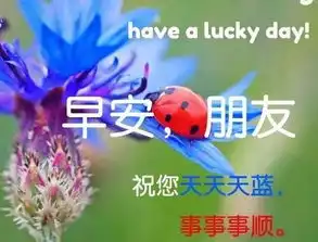  夏季早晨好图片早晨好表情祝福语