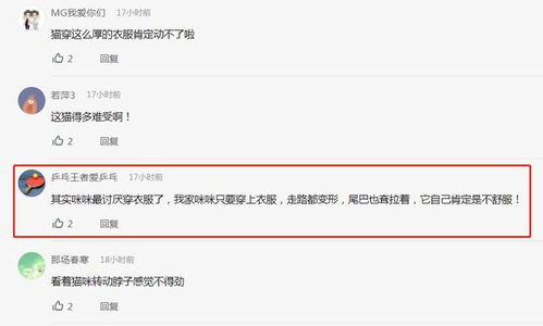  小猫咪穿衣服坐板凳,街头摊上卖鱼干,表情呆萌引围观