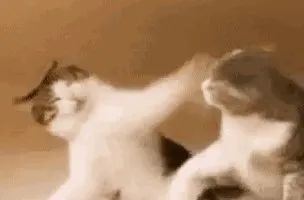  熊猫血不宜结婚生子孟买血生的娃可能不像你的娃