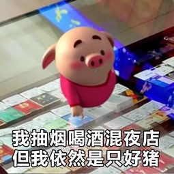  猪小屁表情包第二波