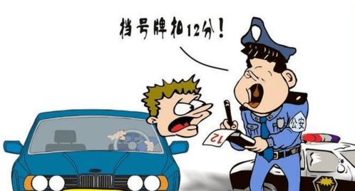  毕节一男子用口罩遮挡自己的汽车牌照,被市民举报后,结果惨了