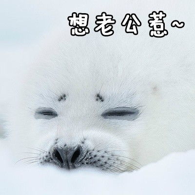  撒狗粮撩妹撩汉表情包