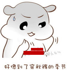  仓鼠表情包下载仓鼠表情包原图