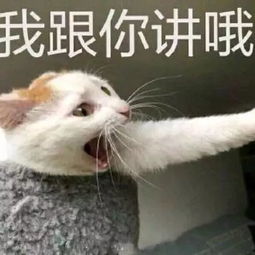 考研太苦了,这些表情包你值得拥有
