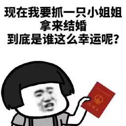  今天,阜城有556对新人领证啦