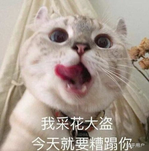 为什么有得女朋友总是想睡男朋友呢