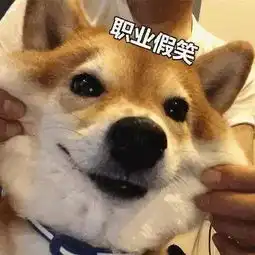  跳跳糖为什么会跳多年的疑问终于解开了