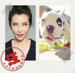 原神表情包图集可保存狗