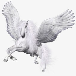  飞马素材图片免费下载高清装饰图案png千库网图片编号2132852