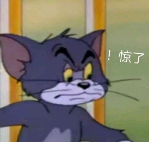  表情包今天发现王思聪也在做舔狗