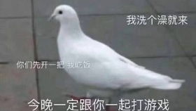  拳皇2002看了大门的隐藏才知道什么叫做血条瞬间爆炸