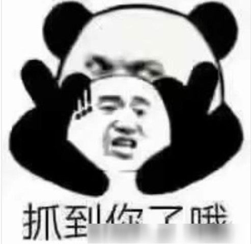 生气了吗的表情包熊猫