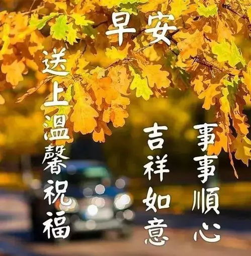  早晨问安生活总是这样会跌倒,会受伤,自己疗,早上好