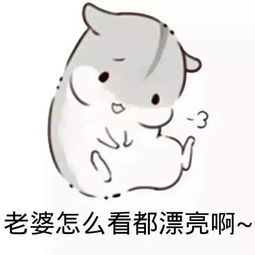  我的生活里最